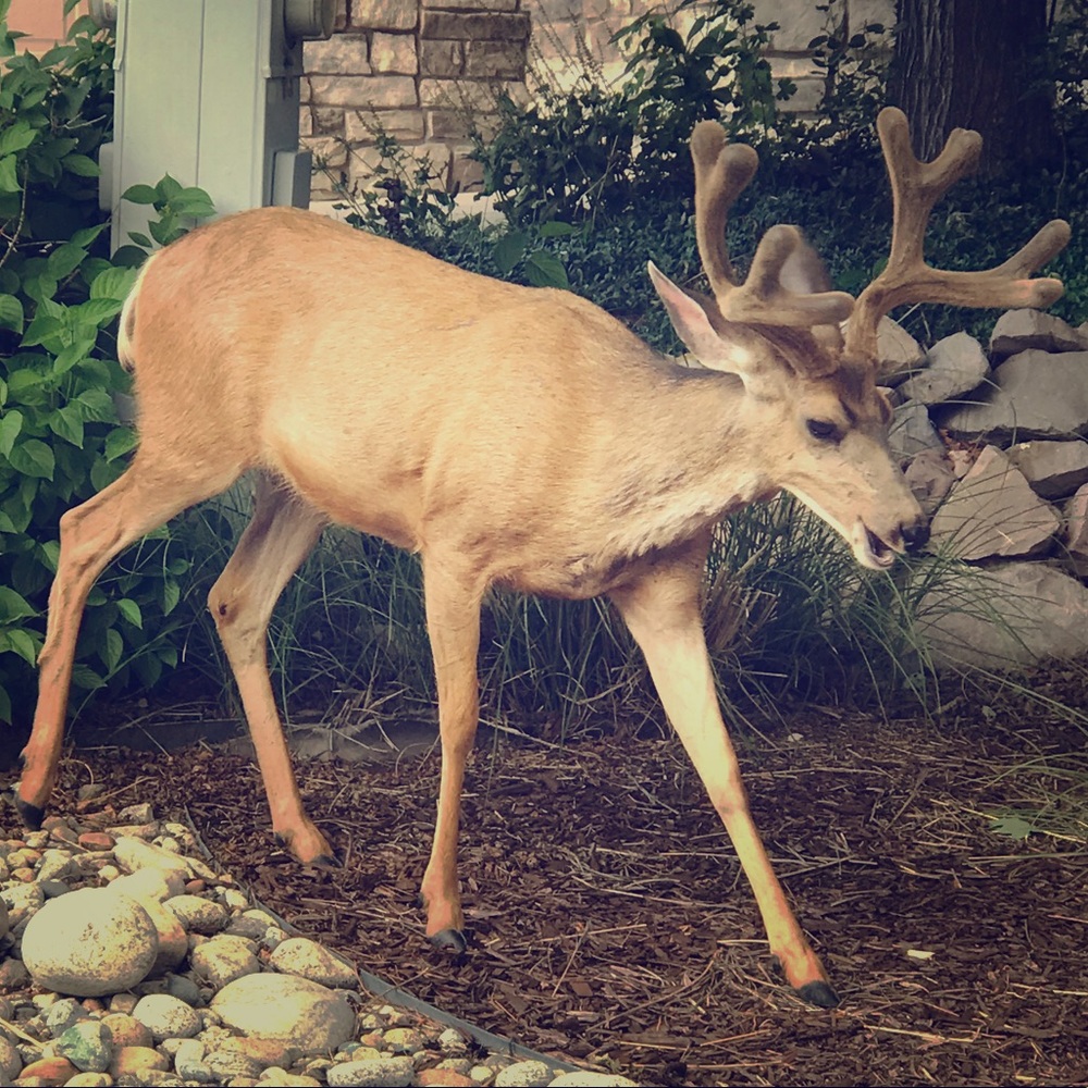 ::clothing, accessories and gifts to love::